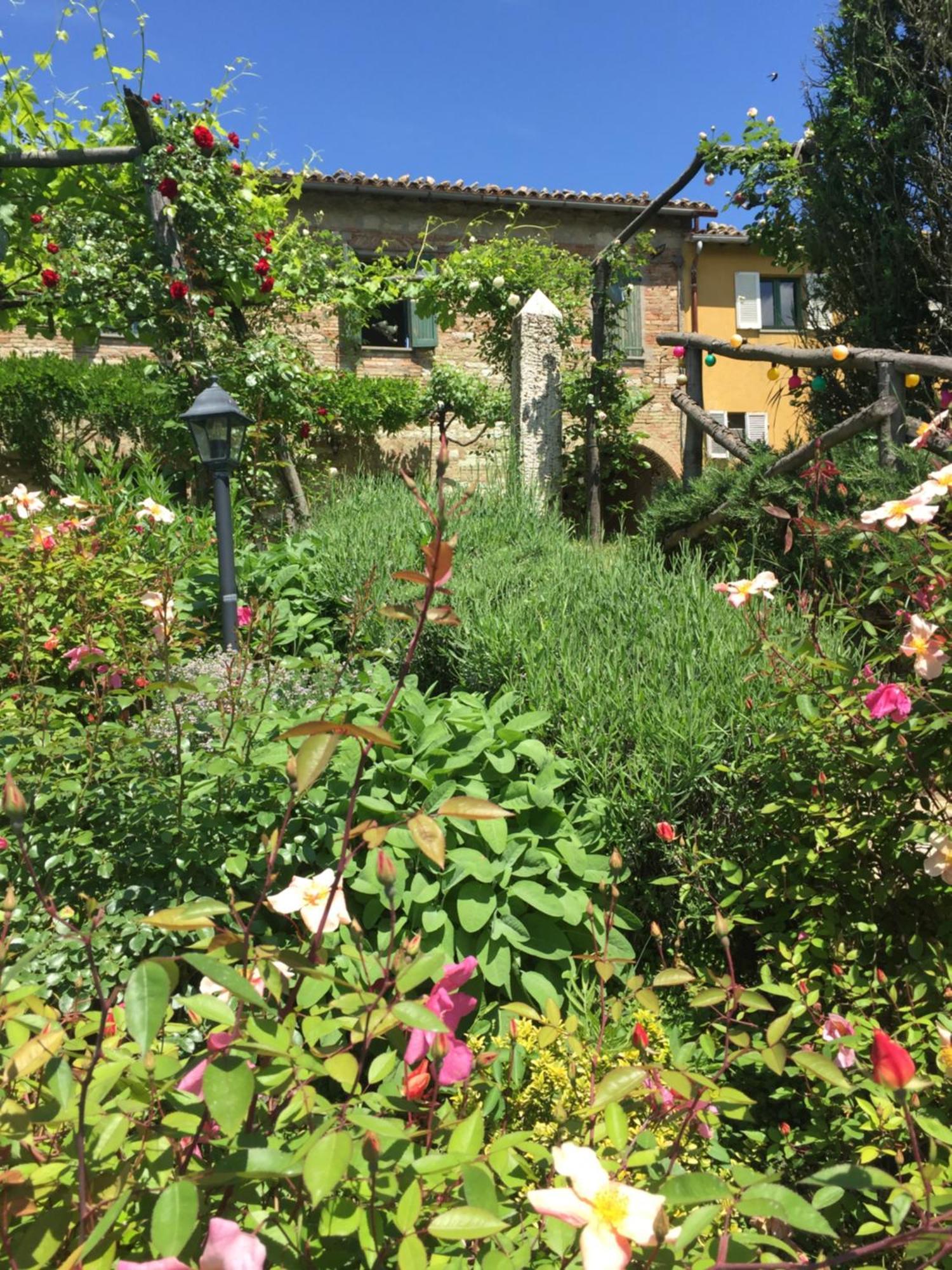 Il Broglino Villa Todi Exteriör bild