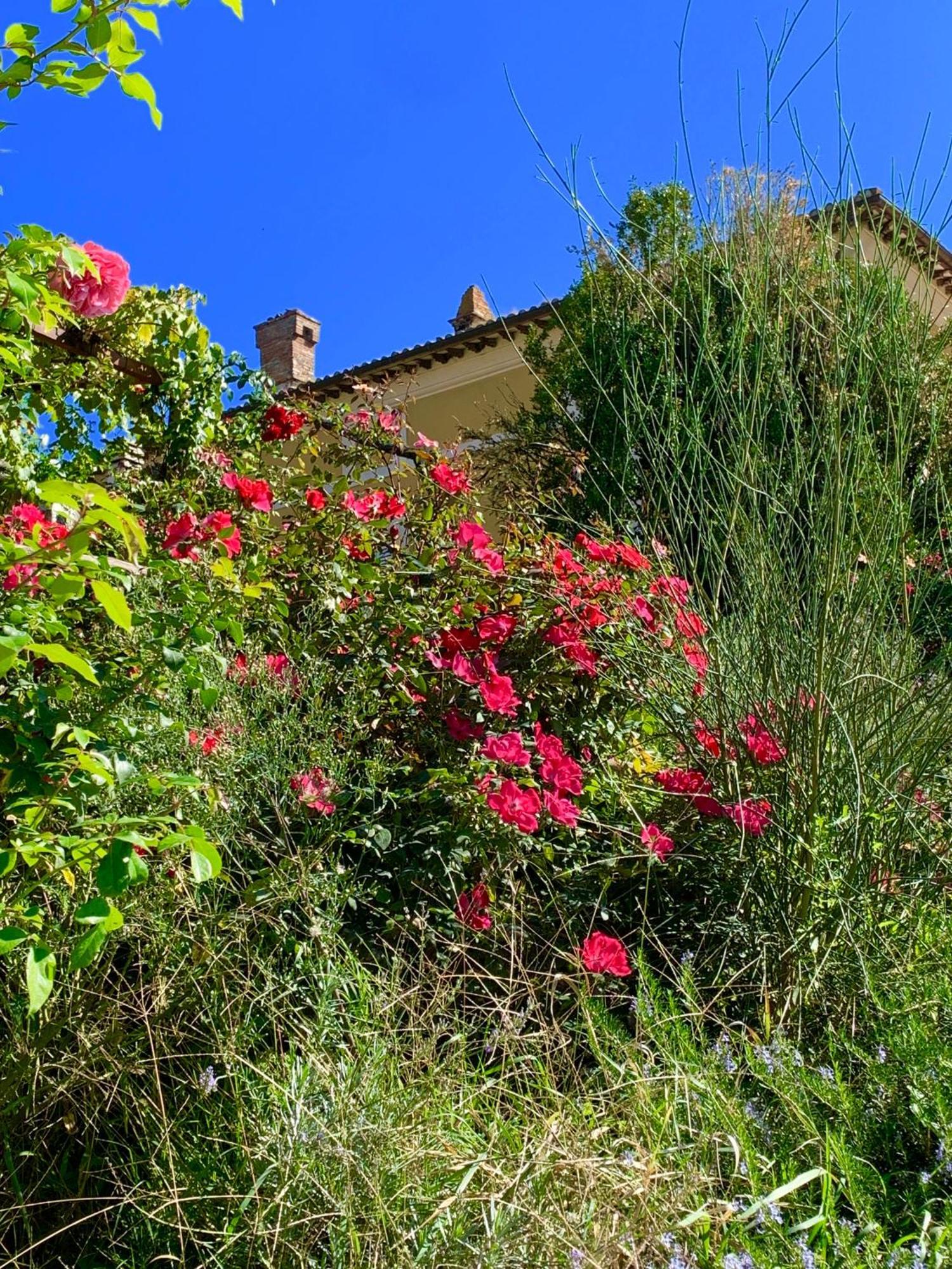 Il Broglino Villa Todi Exteriör bild