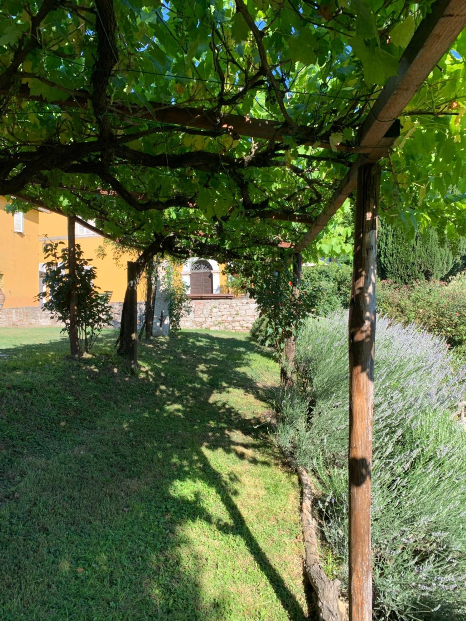 Il Broglino Villa Todi Exteriör bild
