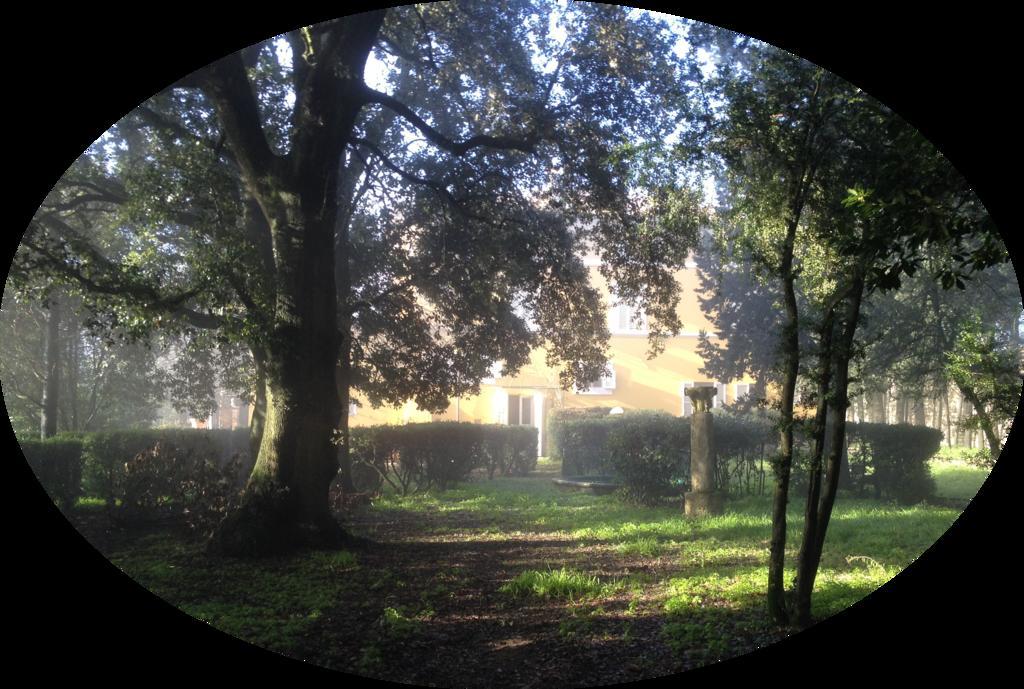 Il Broglino Villa Todi Exteriör bild